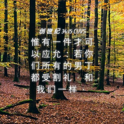 Picture 04 - 创 世 纪 34:15 CUVS - 惟 有 一 件 才 可 以 应 允 ： 若 你 - Bible Verse Picture