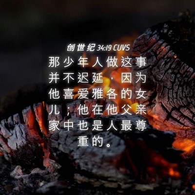 Picture 04 - 创 世 纪 34:19 CUVS - 那 少 年 人 做 这 事 并 不 迟 延 ， - Bible Verse Picture