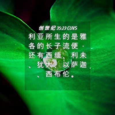 Picture 04 - 创 世 纪 35:23 CUVS - 利 亚 所 生 的 是 雅 各 的 长 子 流 - Bible Verse Picture