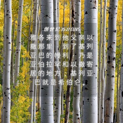 Picture 04 - 创 世 纪 35:27 CUVS - 雅 各 来 到 他 父 亲 以 撒 那 里 ， - Bible Verse Picture