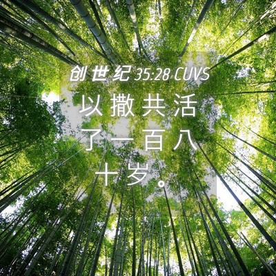 Picture 04 - 创 世 纪 35:28 CUVS - 以 撒 共 活 了 一 百 八 十 岁 - Bible Verse Picture