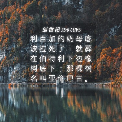 Picture 04 - 创 世 纪 35:8 CUVS - 利 百 加 的 奶 母 底 波 拉 死 了 ， - Bible Verse Picture