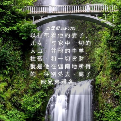 Picture 04 - 创 世 纪 36:6 CUVS - 以 扫 带 着 他 的 妻 子 、 儿 女 ， - Bible Verse Picture