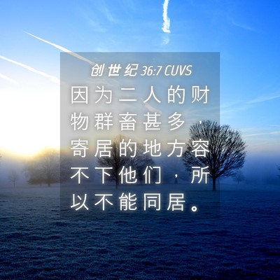 Picture 04 - 创 世 纪 36:7 CUVS - 因 为 二 人 的 财 物 群 畜 甚 多 ， - Bible Verse Picture