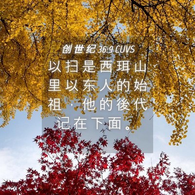 Picture 04 - 创 世 纪 36:9 CUVS - 以 扫 是 西 珥 山 里 以 东 人 的 始 - Bible Verse Picture