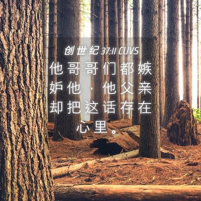 Picture 04 - 创 世 纪 37:11 CUVS - 他 哥 哥 们 都 嫉 妒 他 ， 他 父 亲 - Bible Verse Picture