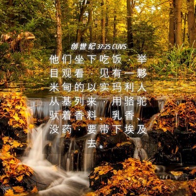 Picture 04 - 创 世 纪 37:25 CUVS - 他 们 坐 下 吃 饭 ， 举 目 观 看 ， - Bible Verse Picture