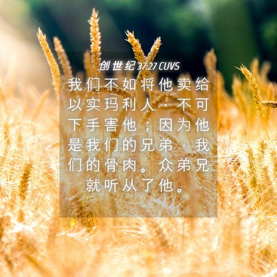 Picture 04 - 创 世 纪 37:27 CUVS - 我 们 不 如 将 他 卖 给 以 实 玛 利 - Bible Verse Picture