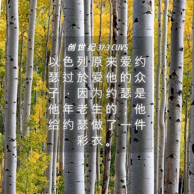 Picture 04 - 创 世 纪 37:3 CUVS - 以 色 列 原 来 爱 约 瑟 过 於 爱 他 - Bible Verse Picture