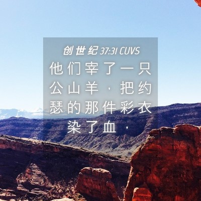 Picture 04 - 创 世 纪 37:31 CUVS - 他 们 宰 了 一 只 公 山 羊 ， 把 约 - Bible Verse Picture