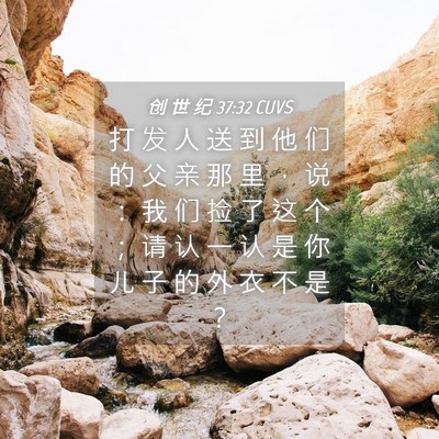 Picture 04 - 创 世 纪 37:32 CUVS - 打 发 人 送 到 他 们 的 父 亲 那 里 - Bible Verse Picture