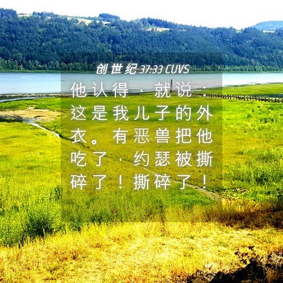 Picture 04 - 创 世 纪 37:33 CUVS - 他 认 得 ， 就 说 ： 这 是 我 儿 子 - Bible Verse Picture