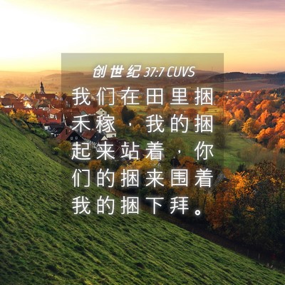 Picture 04 - 创 世 纪 37:7 CUVS - 我 们 在 田 里 捆 禾 稼 ， 我 的 捆 - Bible Verse Picture