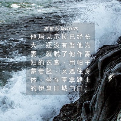 Picture 04 - 创 世 纪 38:14 CUVS - 他 玛 见 示 拉 已 经 长 大 ， 还 没 - Bible Verse Picture