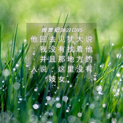 Picture 04 - 创 世 纪 38:22 CUVS - 他 回 去 见 犹 大 说 ： 我 没 有 找 - Bible Verse Picture
