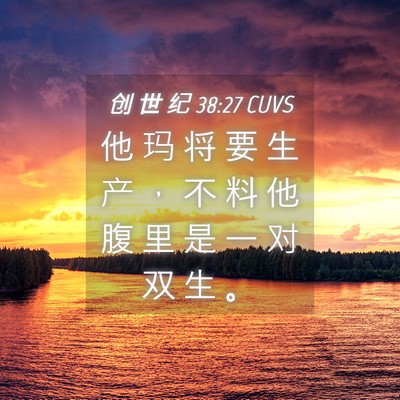 Picture 04 - 创 世 纪 38:27 CUVS - 他 玛 将 要 生 产 ， 不 料 他 腹 里 - Bible Verse Picture