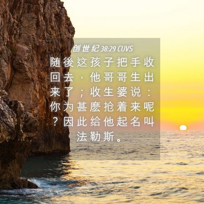 Picture 04 - 创 世 纪 38:29 CUVS - 随 後 这 孩 子 把 手 收 回 去 ， 他 - Bible Verse Picture