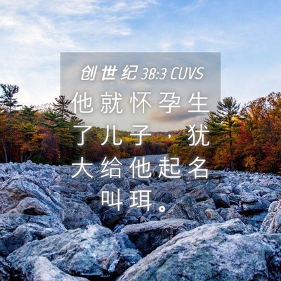 Picture 04 - 创 世 纪 38:3 CUVS - 他 就 怀 孕 生 了 儿 子 ， 犹 大 给 - Bible Verse Picture