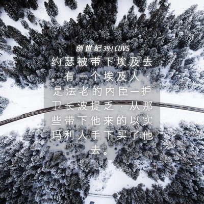Picture 04 - 创 世 纪 39:1 CUVS - 约 瑟 被 带 下 埃 及 去 。 有 一 个 - Bible Verse Picture
