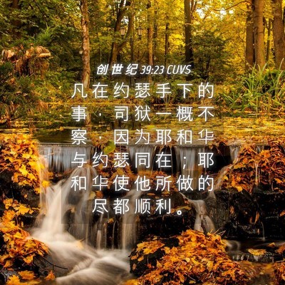 Picture 04 - 创 世 纪 39:23 CUVS - 凡 在 约 瑟 手 下 的 事 ， 司 狱 一 - Bible Verse Picture