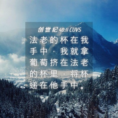 Picture 04 - 创 世 纪 40:11 CUVS - 法 老 的 杯 在 我 手 中 ， 我 就 拿 - Bible Verse Picture
