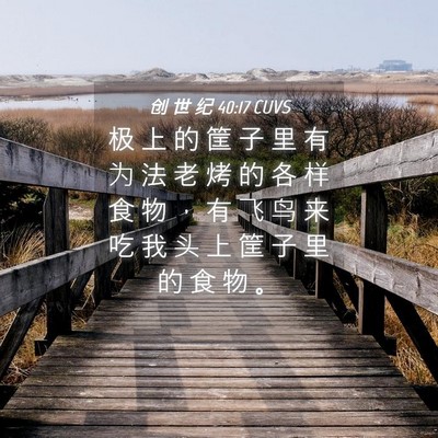 Picture 04 - 创 世 纪 40:17 CUVS - 极 上 的 筐 子 里 有 为 法 老 烤 的 - Bible Verse Picture