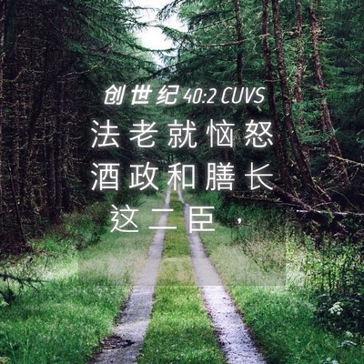 Picture 04 - 创 世 纪 40:2 CUVS - 法 老 就 恼 怒 酒 政 和 膳 长 这 二 - Bible Verse Picture