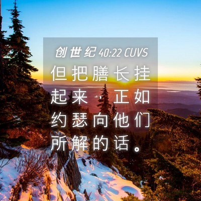 Picture 04 - 创 世 纪 40:22 CUVS - 但 把 膳 长 挂 起 来 ， 正 如 约 瑟 - Bible Verse Picture