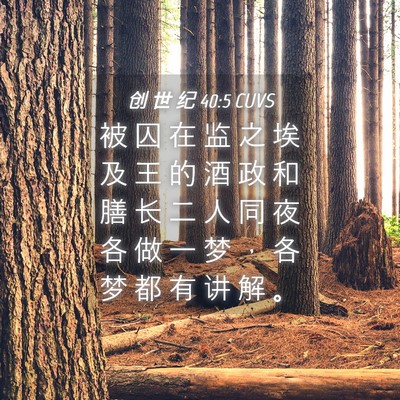 Picture 04 - 创 世 纪 40:5 CUVS - 被 囚 在 监 之 埃 及 王 的 酒 政 和 - Bible Verse Picture