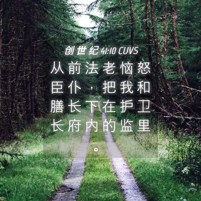 Picture 04 - 创 世 纪 41:10 CUVS - 从 前 法 老 恼 怒 臣 仆 ， 把 我 和 - Bible Verse Picture