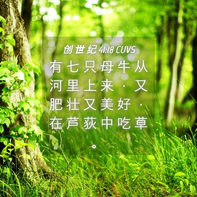Picture 04 - 创 世 纪 41:18 CUVS - 有 七 只 母 牛 从 河 里 上 来 ， 又 - Bible Verse Picture