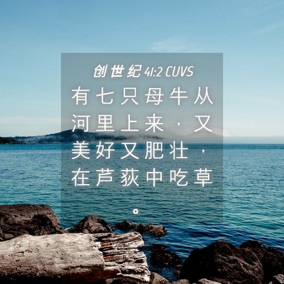 Picture 04 - 创 世 纪 41:2 CUVS - 有 七 只 母 牛 从 河 里 上 来 ， 又 - Bible Verse Picture