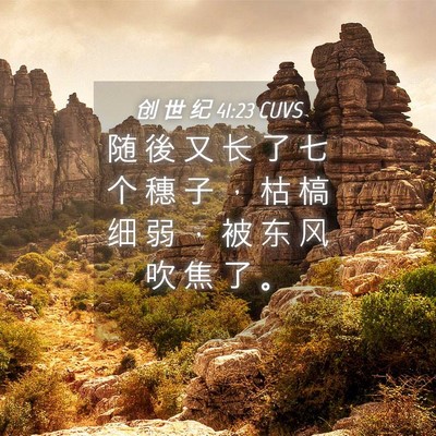 Picture 04 - 创 世 纪 41:23 CUVS - 随 後 又 长 了 七 个 穗 子 ， 枯 槁 - Bible Verse Picture