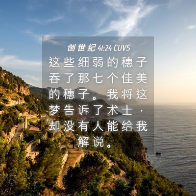 Picture 04 - 创 世 纪 41:24 CUVS - 这 些 细 弱 的 穗 子 吞 了 那 七 个 - Bible Verse Picture