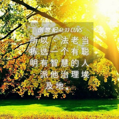 Picture 04 - 创 世 纪 41:33 CUVS - 所 以 ， 法 老 当 拣 选 一 个 有 聪 - Bible Verse Picture