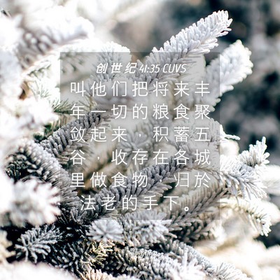Picture 04 - 创 世 纪 41:35 CUVS - 叫 他 们 把 将 来 丰 年 一 切 的 粮 - Bible Verse Picture