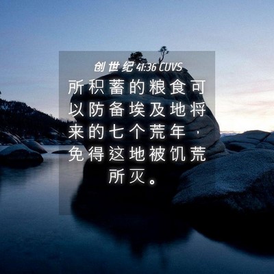 Picture 04 - 创 世 纪 41:36 CUVS - 所 积 蓄 的 粮 食 可 以 防 备 埃 及 - Bible Verse Picture