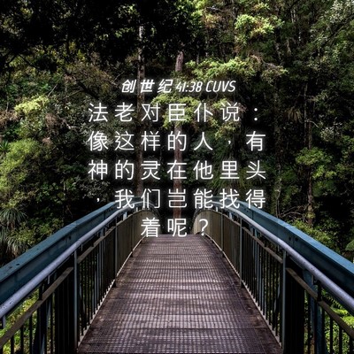 Picture 04 - 创 世 纪 41:38 CUVS - 法 老 对 臣 仆 说 ： 像 这 样 的 人 - Bible Verse Picture