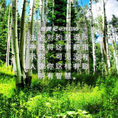 Picture 04 - 创 世 纪 41:39 CUVS - 法 老 对 约 瑟 说 ： 神 既 将 这 事 - Bible Verse Picture