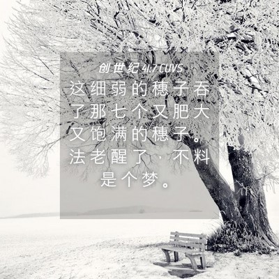 Picture 04 - 创 世 纪 41:7 CUVS - 这 细 弱 的 穗 子 吞 了 那 七 个 又 - Bible Verse Picture