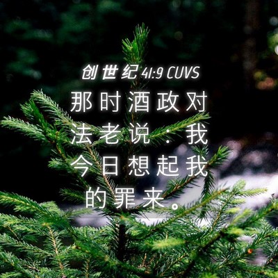 Picture 04 - 创 世 纪 41:9 CUVS - 那 时 酒 政 对 法 老 说 ： 我 今 日 - Bible Verse Picture