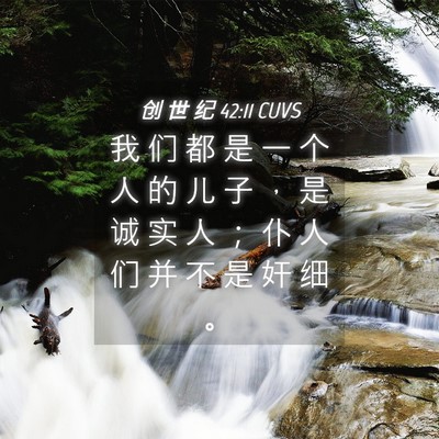 Picture 04 - 创 世 纪 42:11 CUVS - 我 们 都 是 一 个 人 的 儿 子 ， 是 - Bible Verse Picture