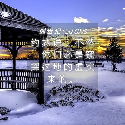 Picture 04 - 创 世 纪 42:12 CUVS - 约 瑟 说 ： 不 然 ， 你 们 必 是 窥 - Bible Verse Picture