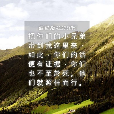 Picture 04 - 创 世 纪 42:20 CUVS - 把 你 们 的 小 兄 弟 带 到 我 这 里 - Bible Verse Picture