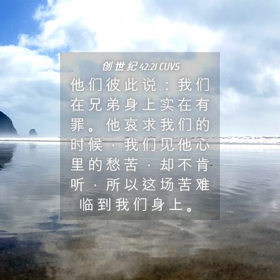 Picture 04 - 创 世 纪 42:21 CUVS - 他 们 彼 此 说 ： 我 们 在 兄 弟 身 - Bible Verse Picture