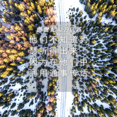 Picture 04 - 创 世 纪 42:23 CUVS - 他 们 不 知 道 约 瑟 听 得 出 来 ， - Bible Verse Picture