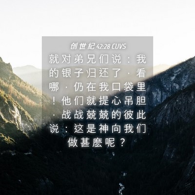 Picture 04 - 创 世 纪 42:28 CUVS - 就 对 弟 兄 们 说 ： 我 的 银 子 归 - Bible Verse Picture