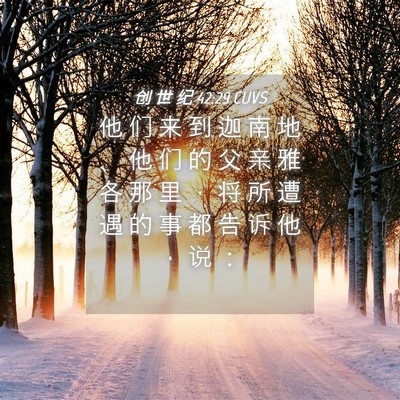 Picture 04 - 创 世 纪 42:29 CUVS - 他 们 来 到 迦 南 地 、 他 们 的 父 - Bible Verse Picture