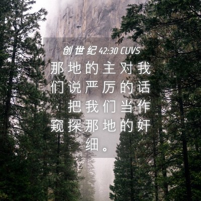 Picture 04 - 创 世 纪 42:30 CUVS - 那 地 的 主 对 我 们 说 严 厉 的 话 - Bible Verse Picture