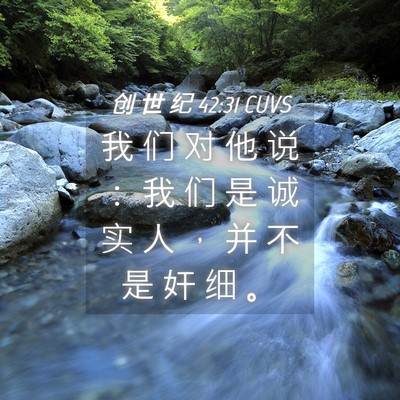Picture 04 - 创 世 纪 42:31 CUVS - 我 们 对 他 说 ： 我 们 是 诚 实 人 - Bible Verse Picture